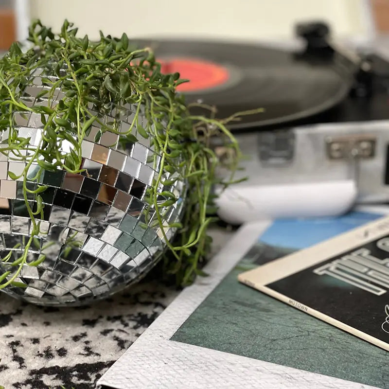 Disco Ball Flower Hanging Planter
