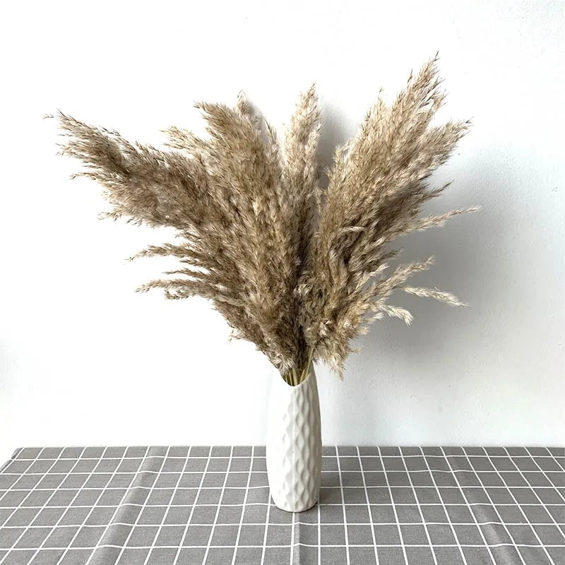 Dried Pampas Grass