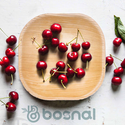 Bosnal - Palm Leaf Biodegradable Plates, 4 inch, Square