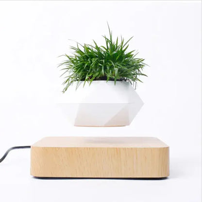 Levitating Potted Plant