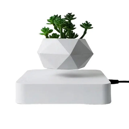 Levitating Potted Plant