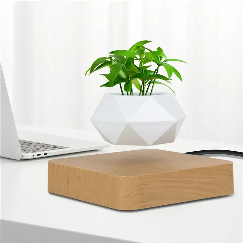 Levitating Potted Plant