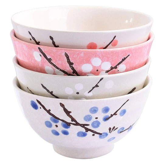 Japanese Rice Bowls